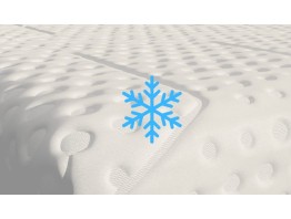 Body Adapt Foam