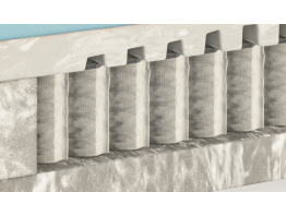 Fusion Fresh Foam